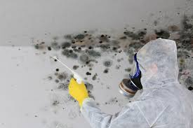 Mold Documentation for Insurance Claims in Fairless Hills, PA